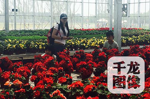 徜徉在花海的母女俩