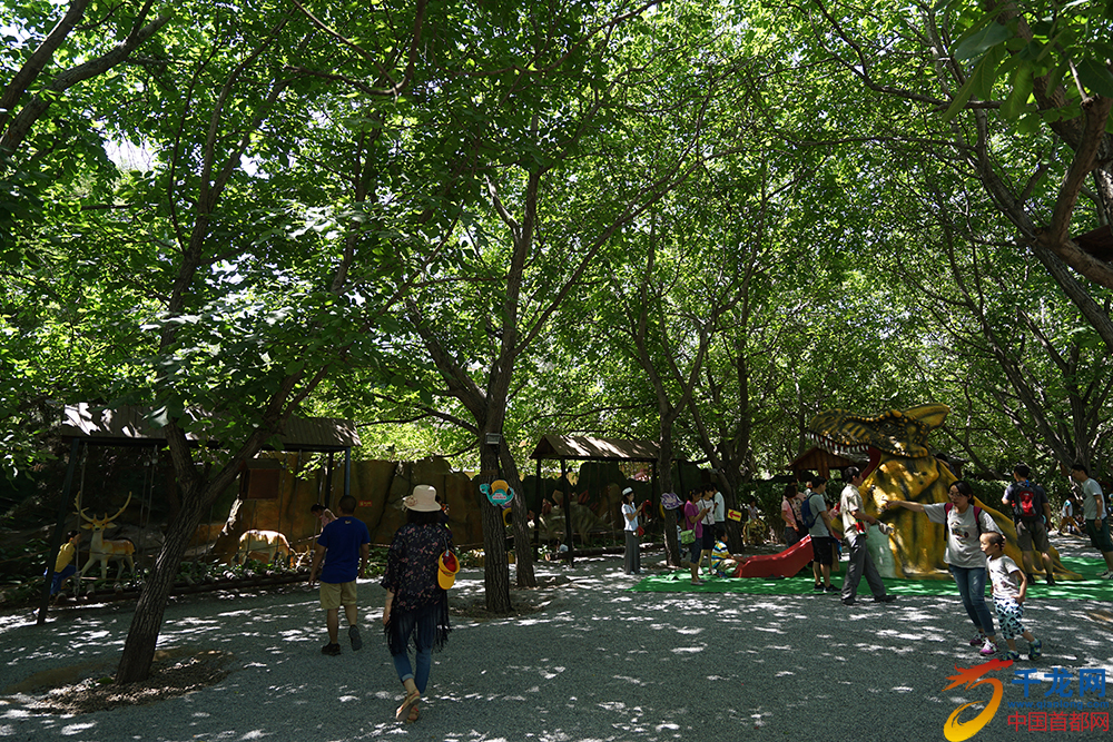 DSC00138