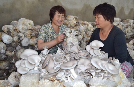 山西浑源县精心打组合拳 努力促创就业-千龙网