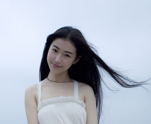 张辛苑