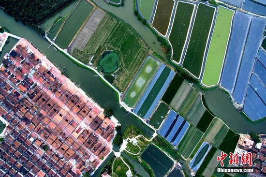 5月底，记者走进位于福建省龙海市东园镇九龙江南溪下游的埭美村，红砖瓦、灰白墙、燕儿尾，典型闽南建筑风格扑面而来。埭美村全村四面环水，被称为“水上古村落”，村内古厝成群，是闽系红砖建筑文化的杰出代表，先后获评福建省历史文化名村和中国历史文化名村。图为古民居与水田相互辉映。