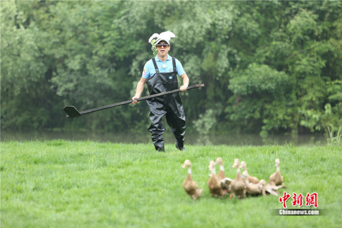 极限男人帮上演爆笑版龟兔赛跑-千龙网·中