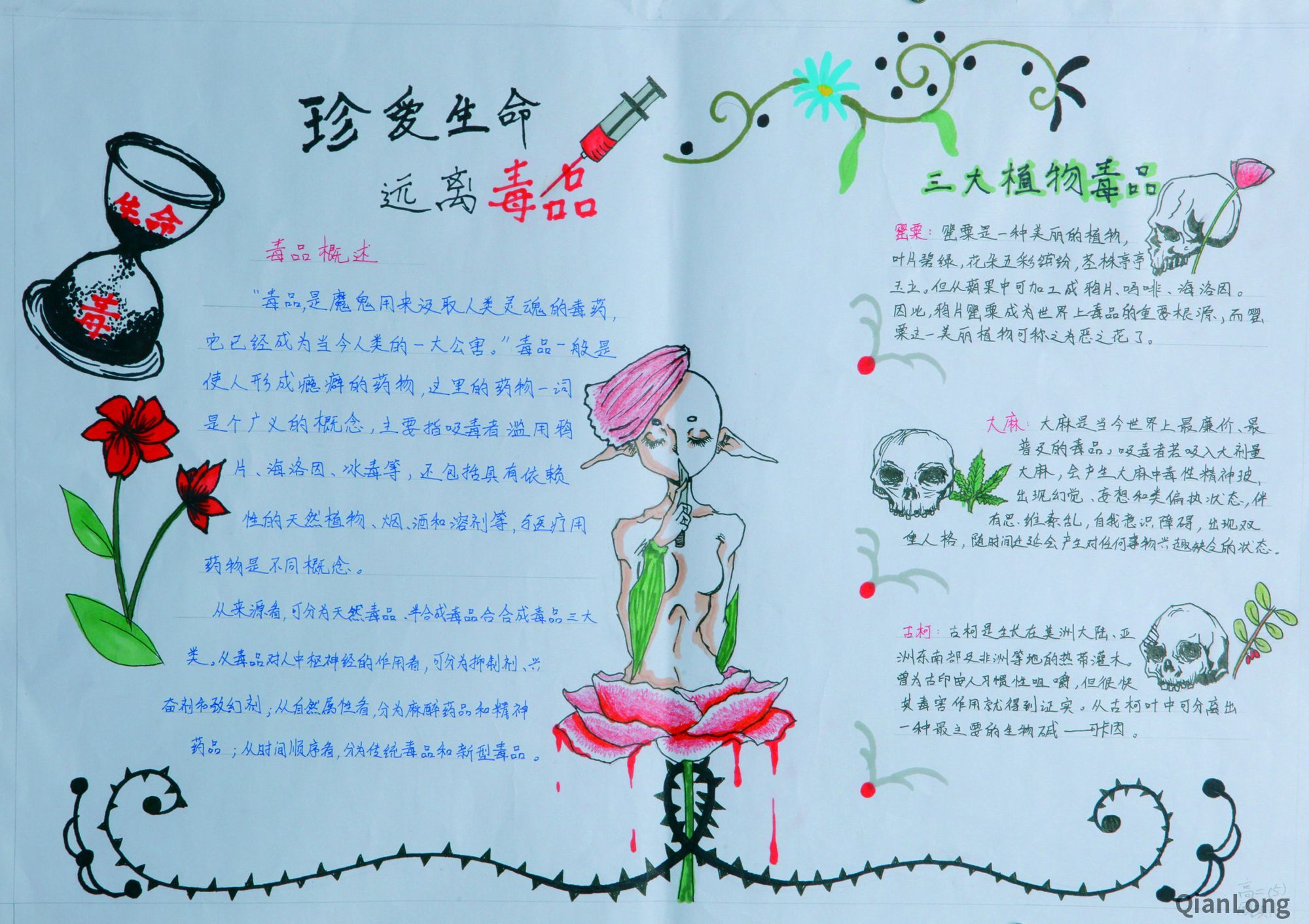 周琪儿   珍爱生命远离毒品