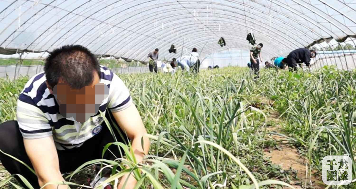 在天康戒毒康复中心，戒毒康复人员正在进行音乐放松治疗，减轻心理压力。天康戒毒所供图