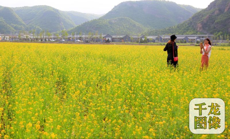 [北京ING]北京怀柔建4000亩景观农田-千龙网·