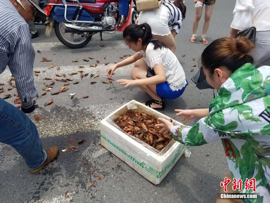 长沙街头龙虾洒满地 众人合力拾虾