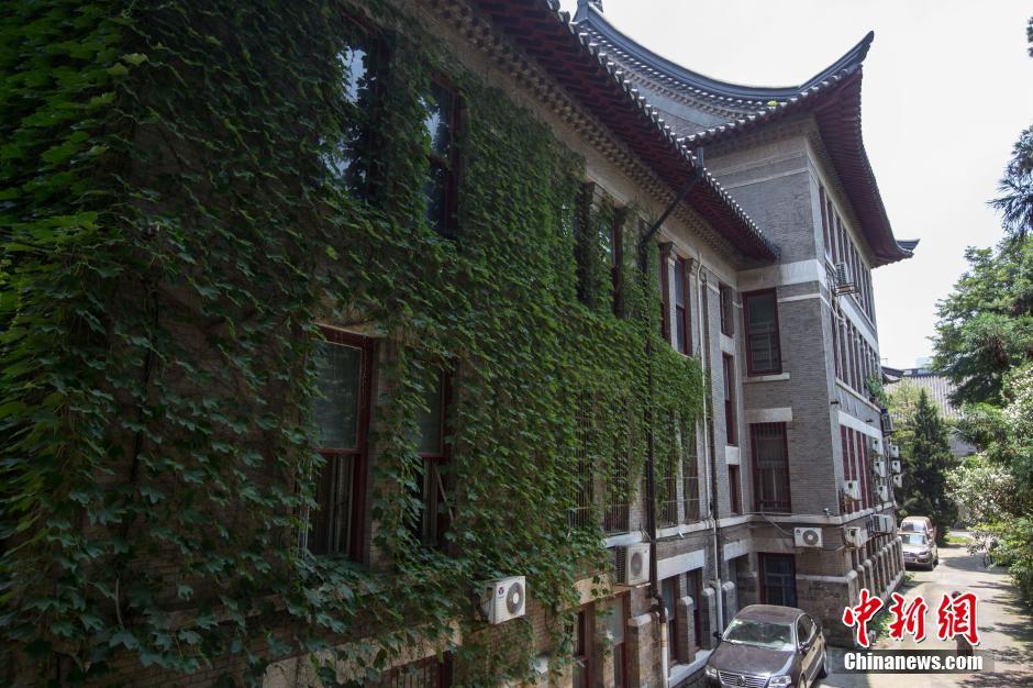 南京高校“绿色树屋”添凉意