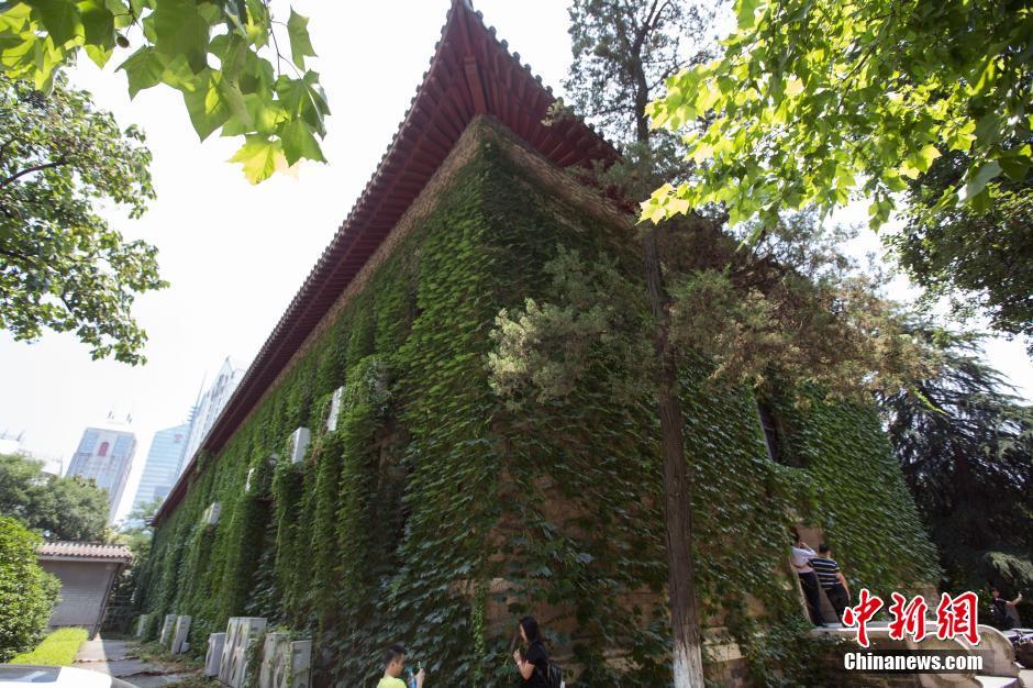 南京高校“绿色树屋”添凉意