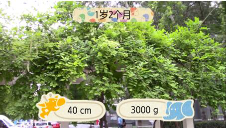 一切从简，从出行设备做起，佳能便携小DV解析