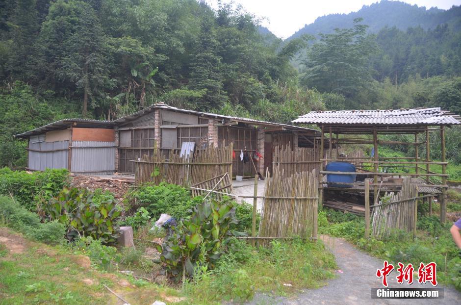 广东五个月缴毒逾10吨 捣毁制毒场点49个