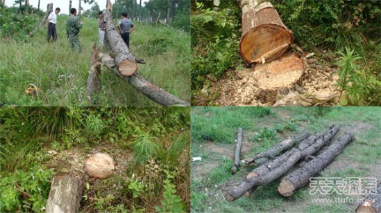 研究称地球9个极限已被人类破坏四个