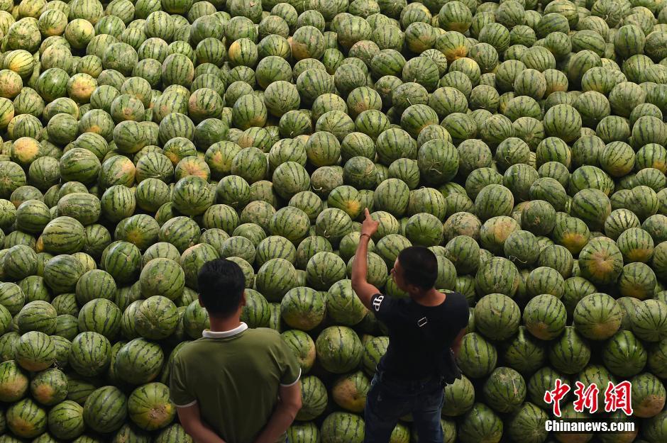 山西太原气温走高西瓜热销-千龙网·中国首都