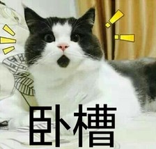20150427222154_WjRat