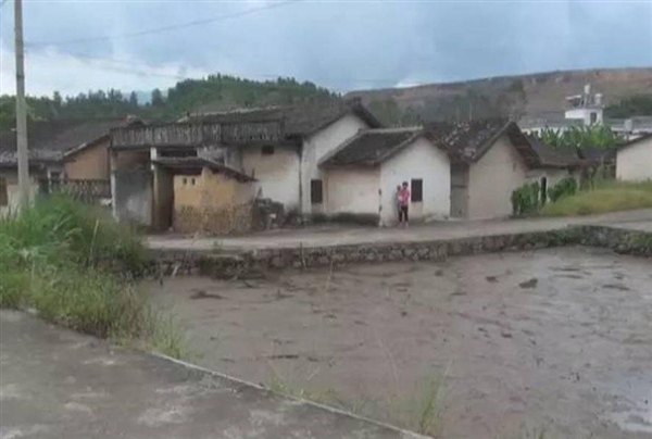 广东一池塘地陷：前日水突然沸腾 鱼瞬间被吞