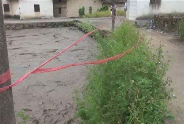 广东一池塘地陷：前日水突然沸腾 鱼瞬间被吞