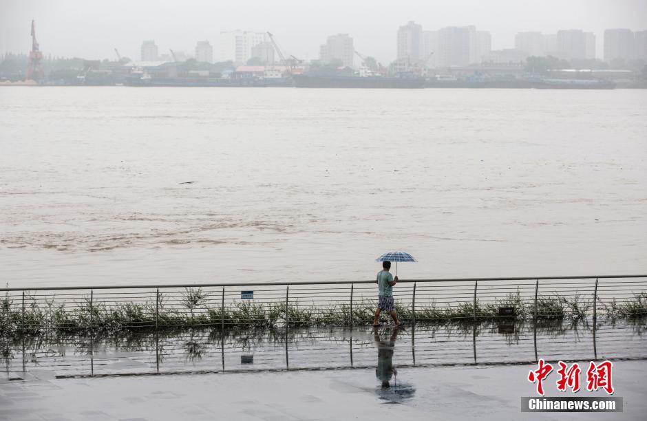 南京持续降雨 长江水位超警戒