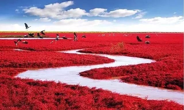 “最不像地球”的地方 中国也有上榜
