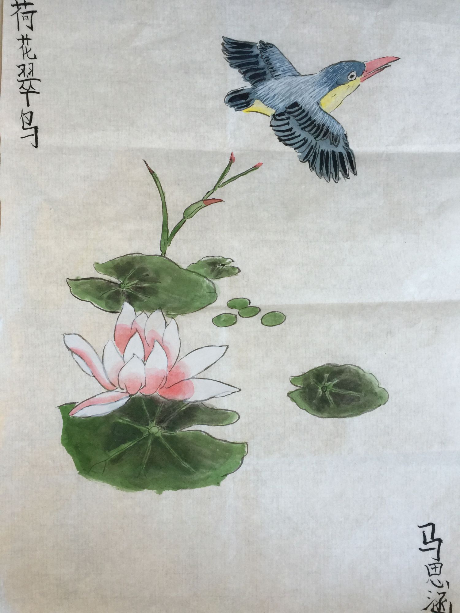 《荷花翠鸟》五年二班 马思涵