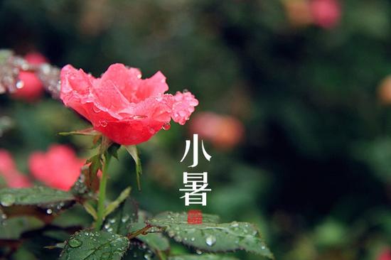 都别不当回事 小暑养生也需要技巧 