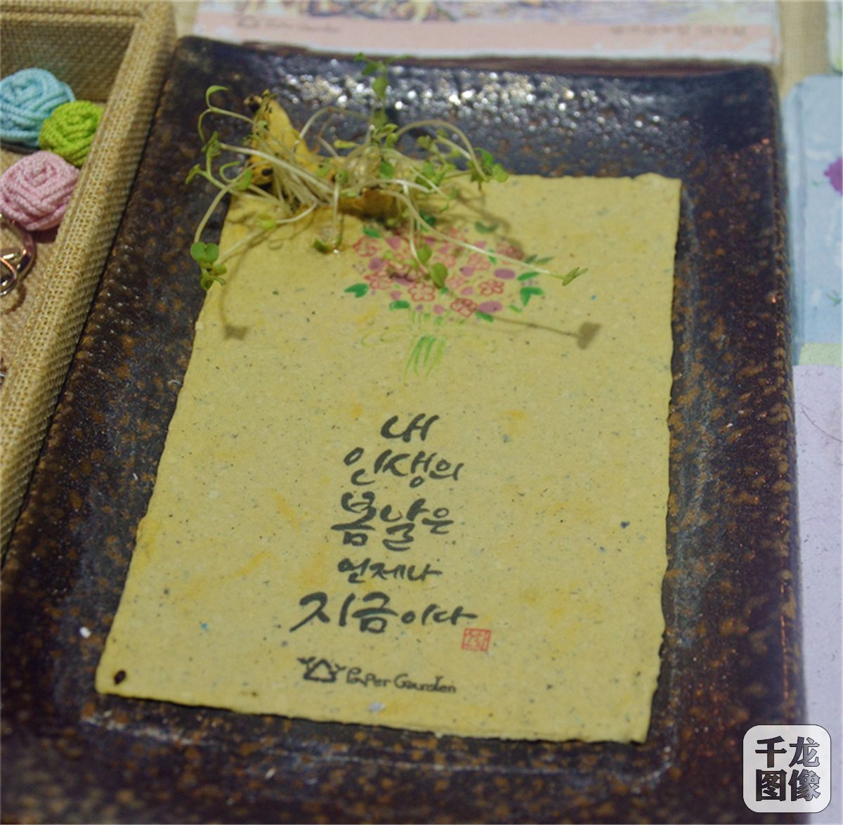 1韩国黑科技代表——会长草的明信片 这款由韩国生产的明信片通过传统造纸方式和水培技术，将废纸升级再造，只要在纸上浇水，明信片就可以长出新芽。(摄影 李继业）