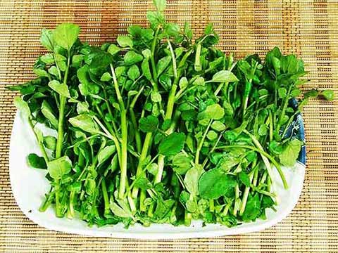 三种菜常吃能救命