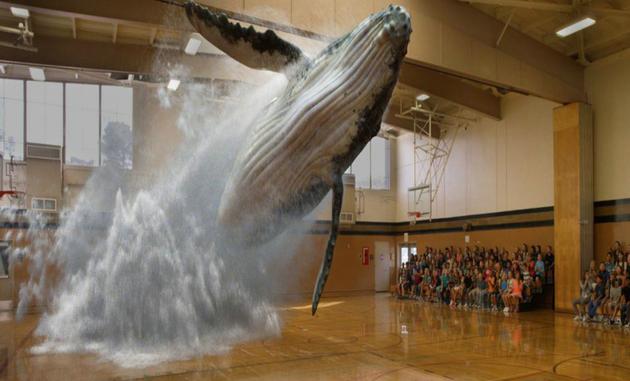 神奇的Magic Leap