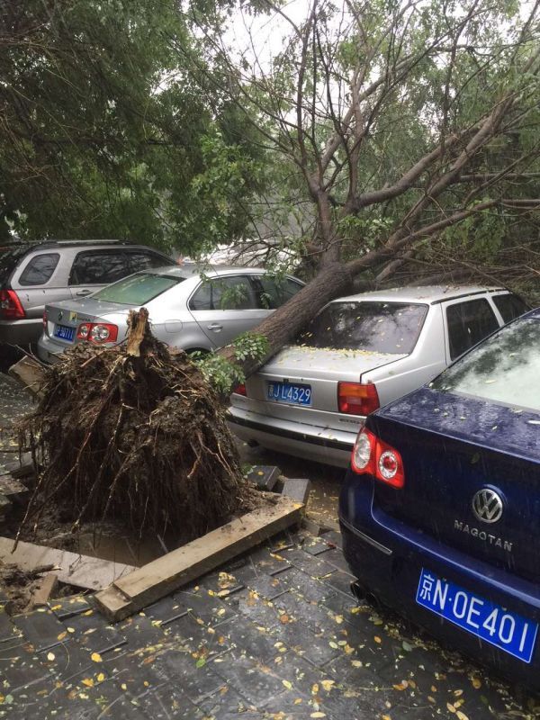 QQ图片20160720125738