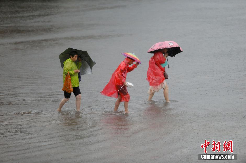 北京遭遇强降雨  游客冒雨游览故宫