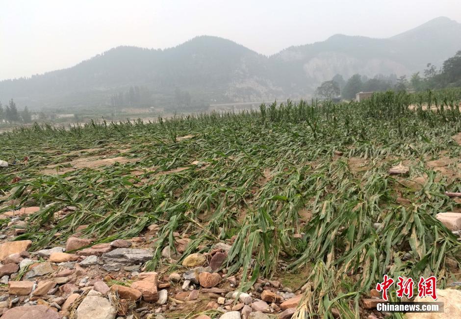河北邢台因强降雨引发洪灾 记者探访受灾现场