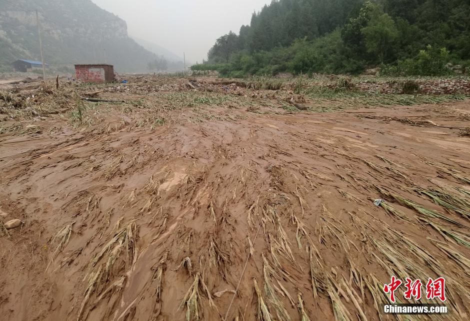 河北邢台因强降雨引发洪灾 记者探访受灾现场