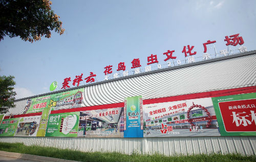 聚祥云花鸟鱼虫文化广场图片