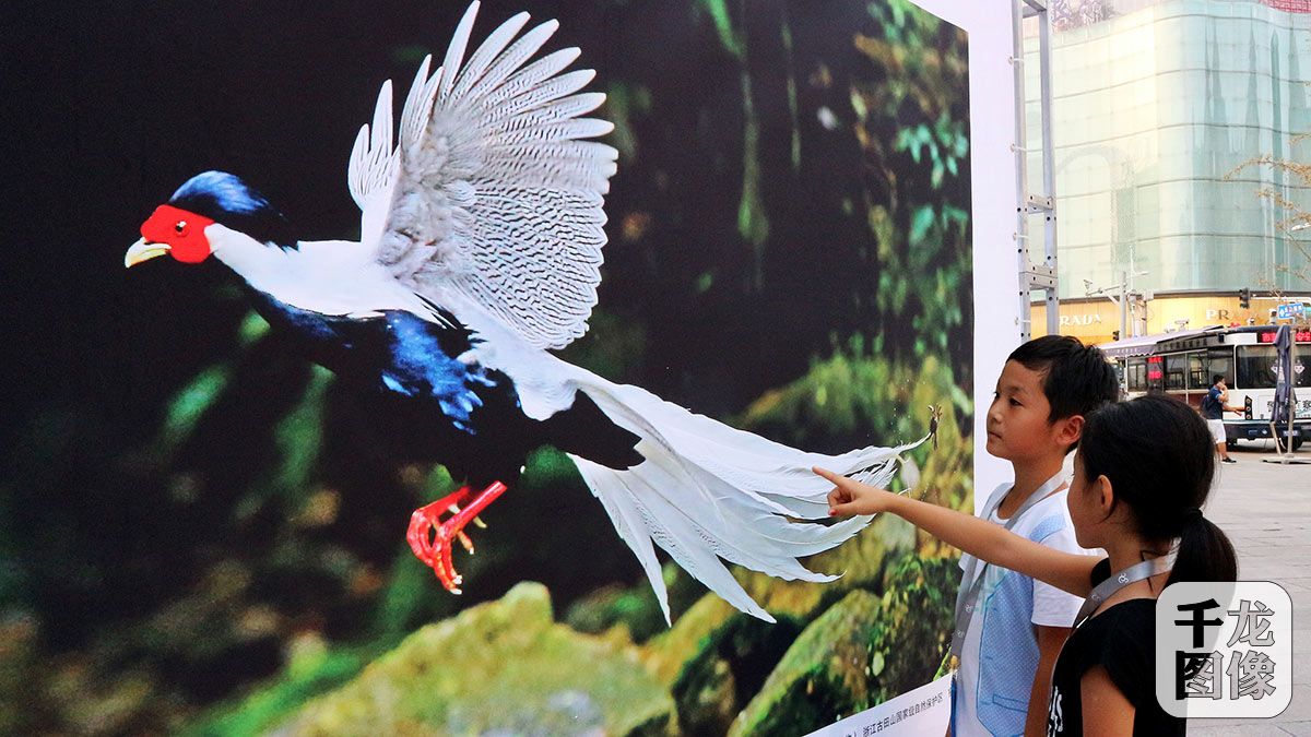 王府井大街上演疯狂动物城-千龙网·中国首