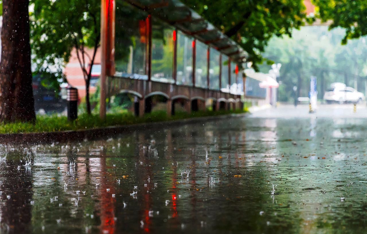 清华附中上地学校3