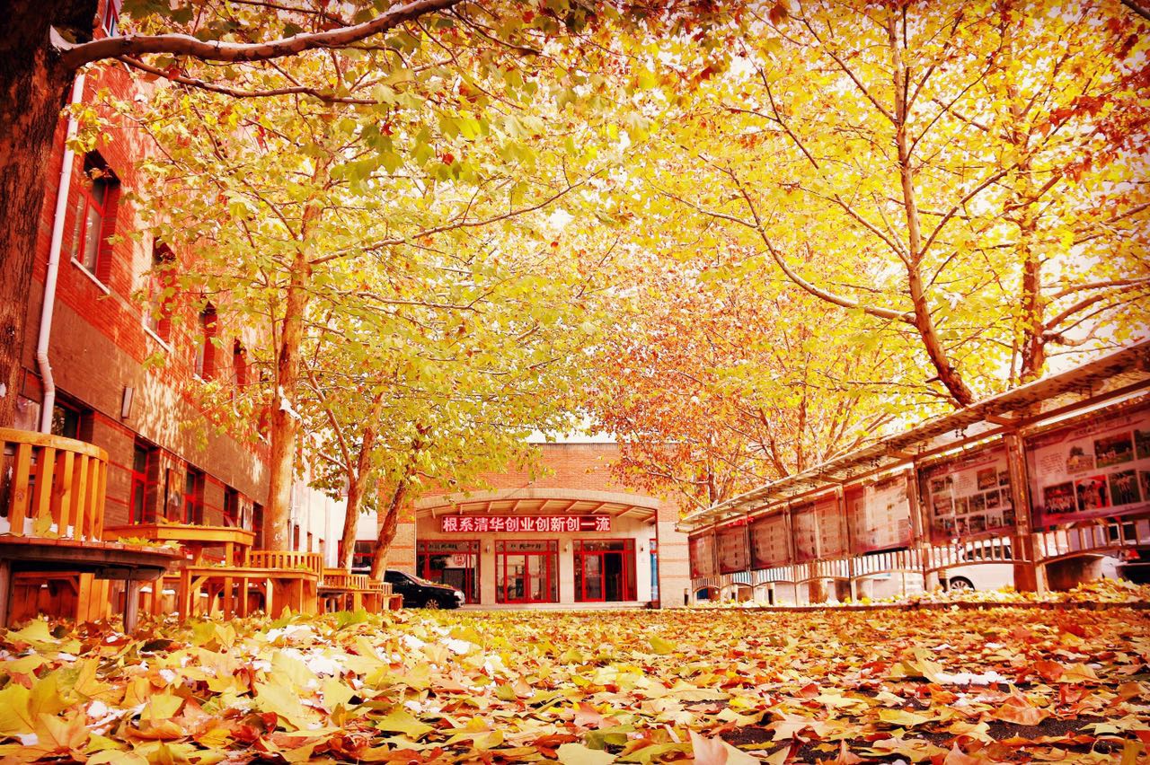 清华附中上地学校4