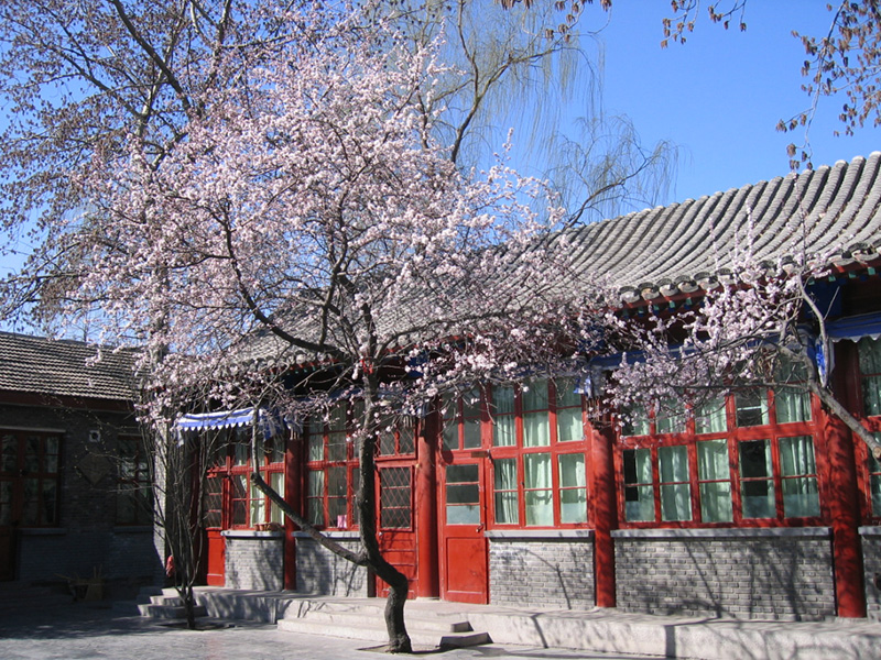 西四北四条小学校园风景如画