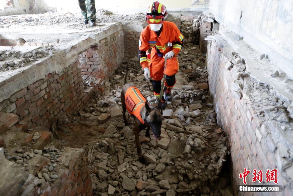 中国举行首次高原跨区域地震救援实战演练