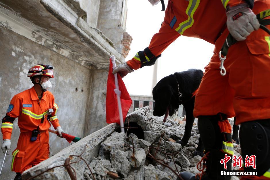中国举行首次高原跨区域地震救援实战演练