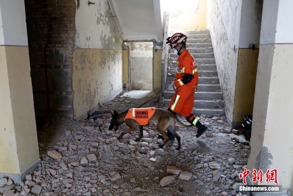 中国举行首次高原跨区域地震救援实战演练