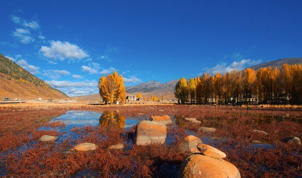 8月3日起可在网上买国庆火车票了!约上你的TA