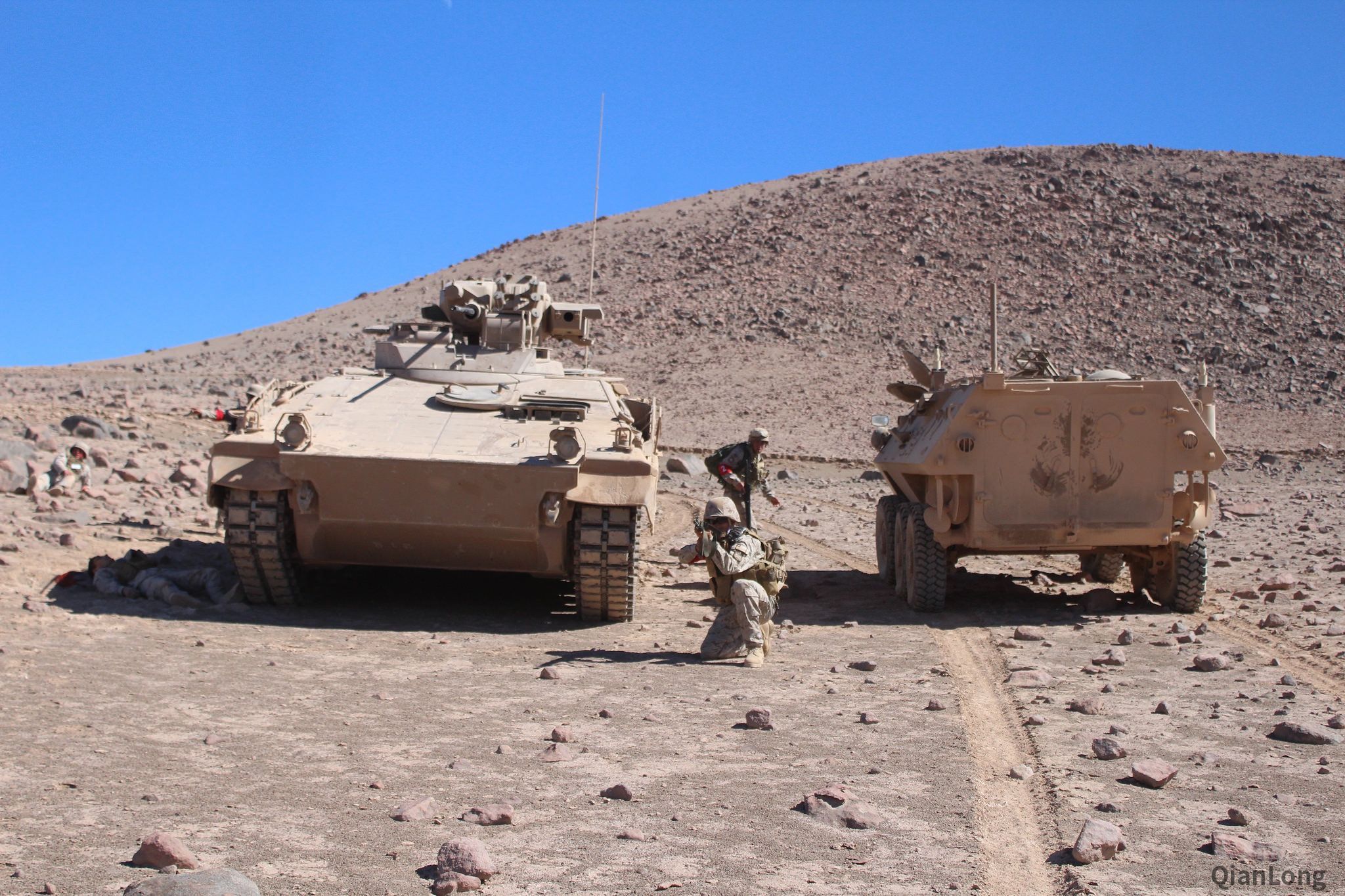 智利陆军的“豹”2A4坦克和“黄鼠狼”IA3步战车 毫无违和感的搭配(8)