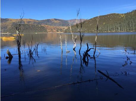旅游分期市场再迎竞争者 分期吧首推零费用产