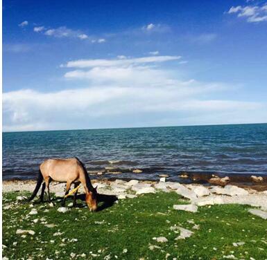 旅游分期市场再迎竞争者 分期吧首推零费用产