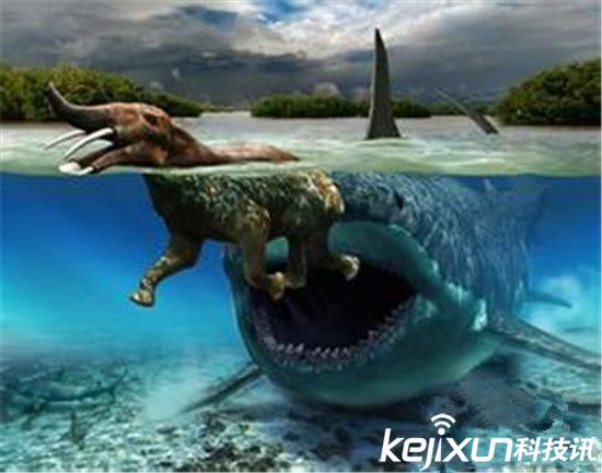远古生物剑齿虎大战巨齿鲨 震惊世界!