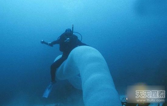 男子海里发现奇怪生物：靠近后让人震惊不已