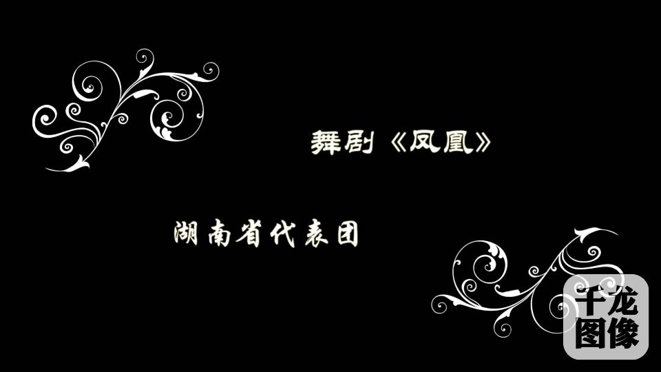 湖南省代表团《凤凰》[00_00_16][20160818-144206-4]