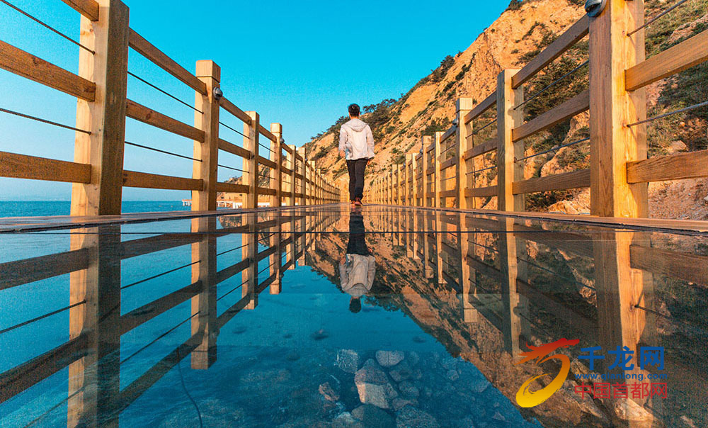 【达人带你玩】山东长岛 看上万只海鸥飞过头