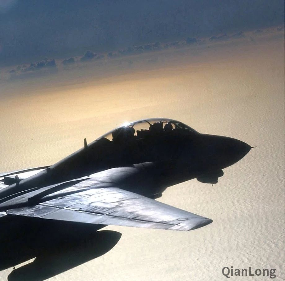 回顾F-14雄猫战斗机的40年 少见的全能海军