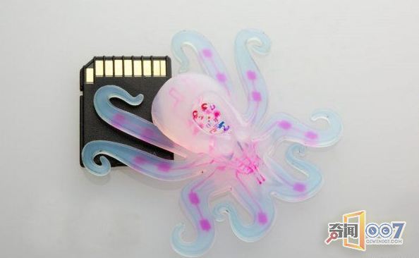 机器人都是人类形态呈现，见过自主式软体机器人吗？