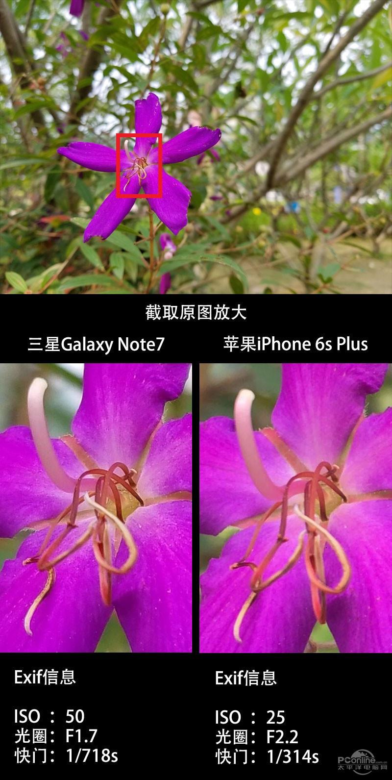三星Note7、iPhone 6S Plus拍照对比测试：差距惊人