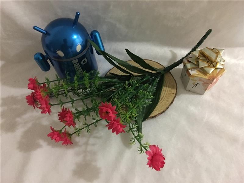 三星Note7、iPhone 6S Plus拍照对比测试：差距惊人